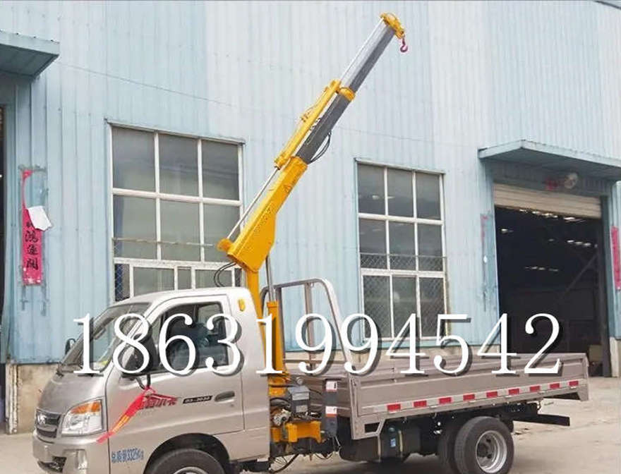 东丽区车载吊机价格车间遥控升降机车载吊机全电动液压吊车间价格